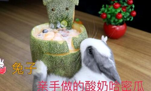 Mastering the Art of Cooking Sea Hare:Delicious Recipes and Expert Tips