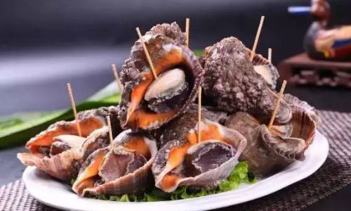 Mastering the Art of Steaming Sea Snails:Perfect Timing for Tender Delicacy