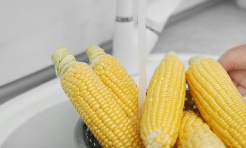 Mastering the Art of Boiling Corn:Precision Timing for Perfectly Cooked Cobbs Every Time