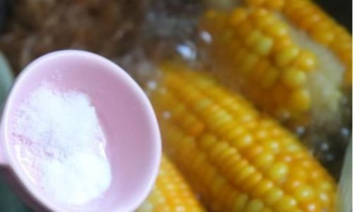 Mastering the Art of Boiling Corn:Precision Timing for Perfectly Cooked Cobbs Every Time