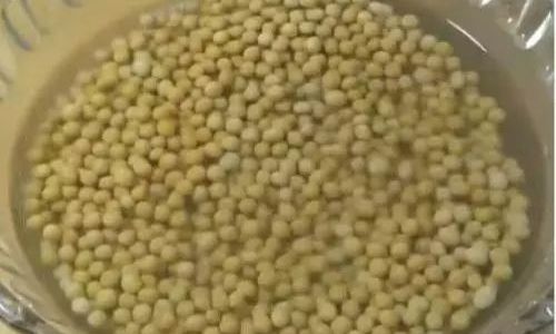 Deliciously Simple Soybean Recipes:Elevating Your Meals with Nutrient-Packed Goodness