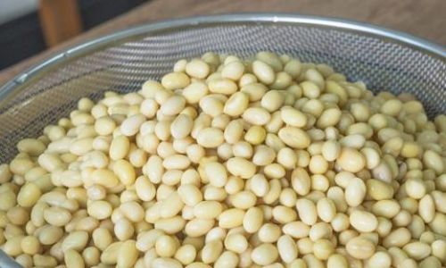 Deliciously Simple Soybean Recipes:Elevating Your Meals with Nutrient-Packed Goodness