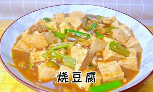 Homemade Big Tofu Recipes:Simple and Delicious Ways to Enjoy This Versatile Ingredient