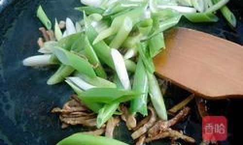 Mastering the Art of Cooking with Green Onions:A Comprehensive Guide
