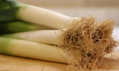 Mastering the Art of Cooking with Green Onions:A Comprehensive Guide