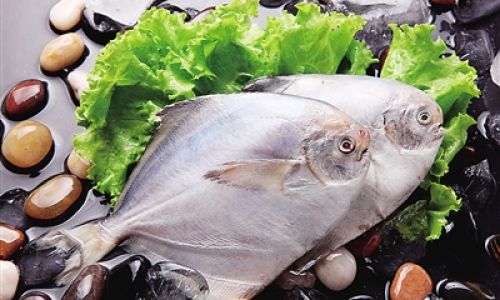 Mastering the Art of Cooking Tender and Delicious Sabah Fish