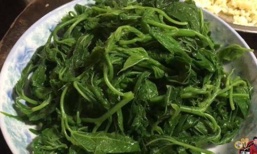 Mastering the Art of Stir-Frying Mulberry Leaves:A Culinary Exploration