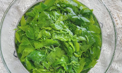 Mastering the Art of Stir-Frying Mulberry Leaves:A Culinary Exploration