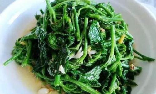 Mastering the Art of Stir-Frying Mulberry Leaves:A Culinary Exploration