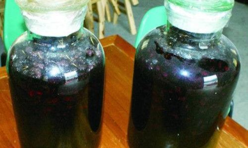 Crafting Delightful Mulberry Wine:A Comprehensive Guide