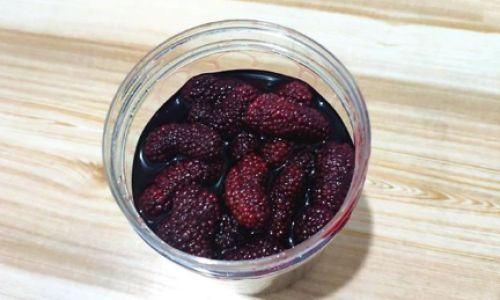 How to Make Mulberry Wine:A Step-by-Step Guide
