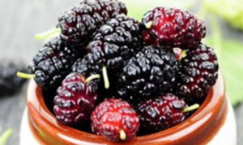 How to Make Dried Mulberry Wine:A Step-by-Step Guide