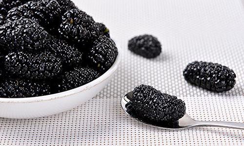 Preserving Mulberries:The Refrigeration Method and Its Benefits