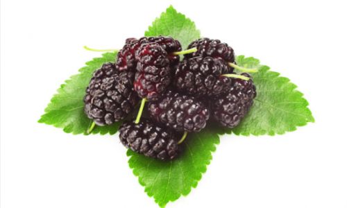 Preserving Mulberries:Techniques and Tips for Extending Freshness