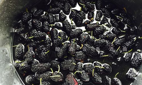 The Art of Crafting Mulberry Wine:A Step-by-Step Guide