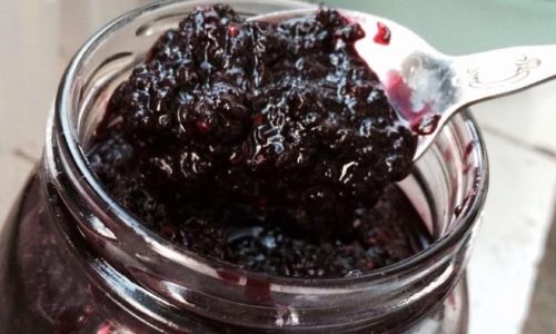 Crafting Delicious Mulberry Honey:A Step-by-Step Guide to Making Mulberry Syrup