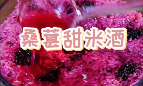 Crafting Delicious Mulberry Rice Wine:A Step-by-Step Guide