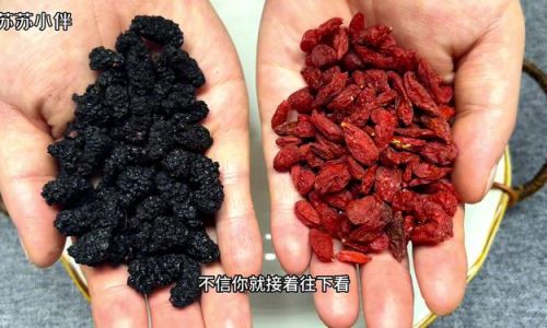Can Mulberries and Goji Berries Be Used Together to Make Wine?