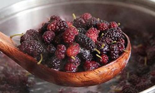 Can Mulberries and Goji Berries Be Used Together to Make Wine?