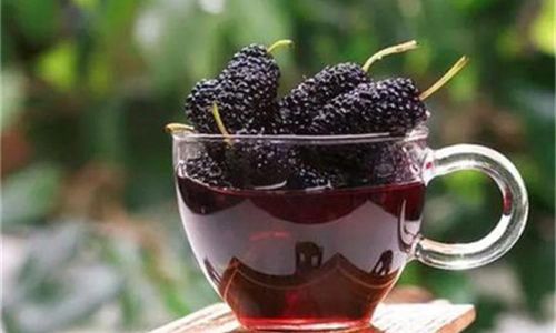 Preserving Mulberry Wine:Essential Methods and Techniques