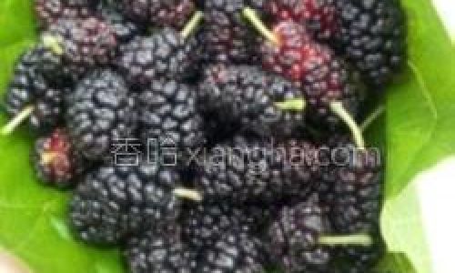 Crafting Delightful Mulberry Wine:A Comprehensive Guide to Its Production
