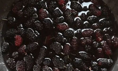 How to Make Mulberry Jam:A Step-by-Step Guide