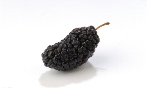 The Correct Way to Brew Dried Mulberries:Unlocking Their Nutritious Potential