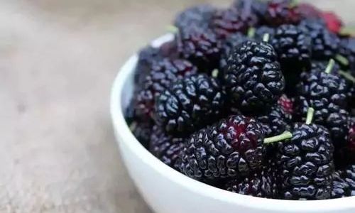 The Art of Drying Mulberries:How Long to Sun-Dry Mulberry Fruits Before Enjoying Them
