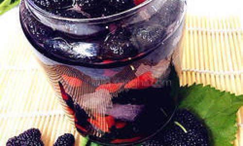 The Art of Crafting Mulberry Wine:A Comprehensive Guide to Infusing Dried Mulberries