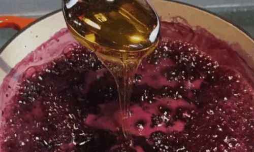 Crafting the Perfect Mulberry Honey Paste:A Step-by-Step Guide