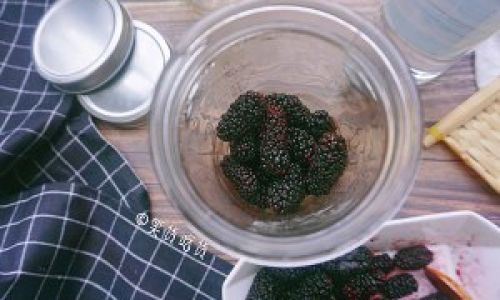 Various Processing Methods of Mulberries