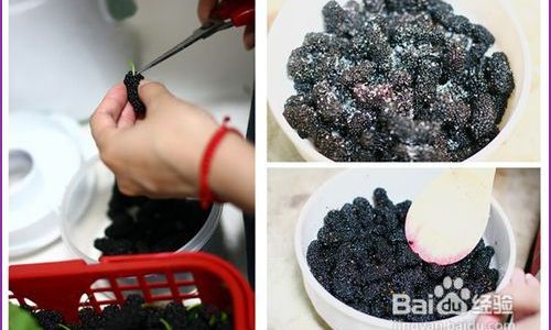 The Art of Crafting Mulberry Fruit Tea:A Step-by-Step Guide