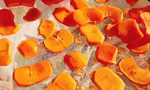 Three Effective Methods for Preserving Dried Persimmons