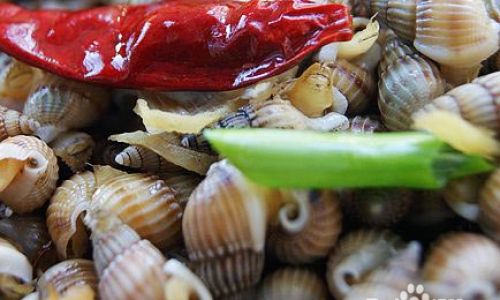 Mastering Homemade Sea Snail Recipes with Three Simple Tricks