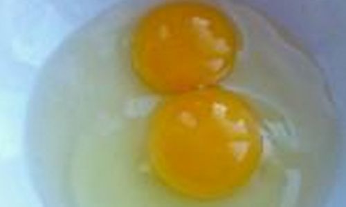 Delightful Culinary Creations with Eggs:A Comprehensive Guide