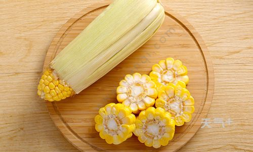 How Long Does It Take to Boil Corn on the Cob?