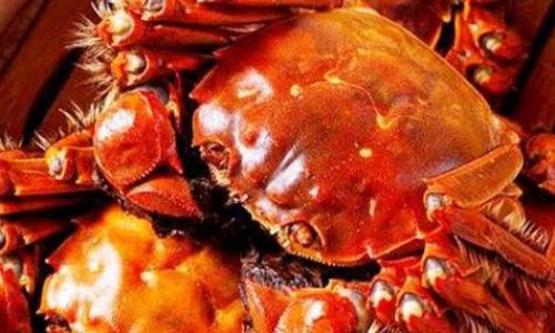 How to Steam Crabs Using an Electric Rice Cooker:A Step-by-Step Guide