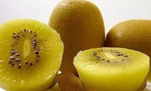 Will Hard Kiwifruits Ripen After Being Stored in the Refrigerator?