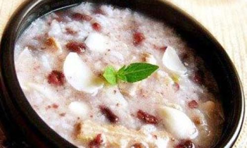 Exploring the World of Nutritious Porridges:A Comprehensive Guide