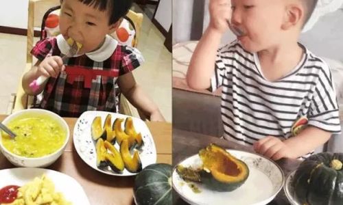 Nutritious and Delicious:Babies Favorite Meals
