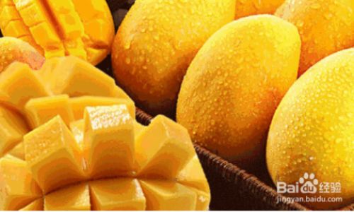 How to Determine the Ripeness of the Eagles Beak Mango