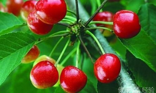 The Optimal Number of Cherries to Consume in One Sitting:A Comprehensive Guide