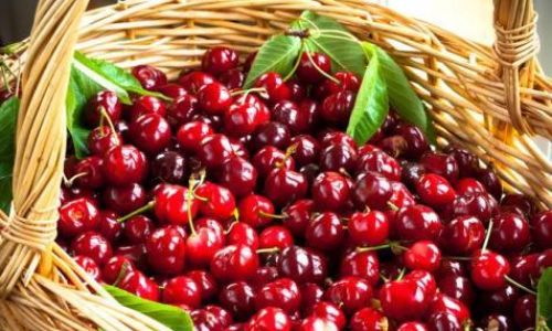 Can Cherries Be Frozen for Preservation?An In-Depth Guide