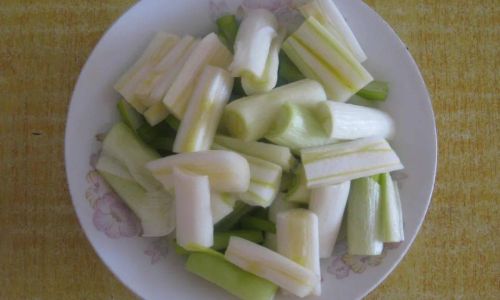 Mastering the Art of Cooking with Green Onions:Simple and Delicious Recipes for Every Kitchen