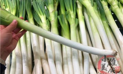 Mastering the Art of Green Onion Storage:Effective Methods to Preserve Freshness and Flavor