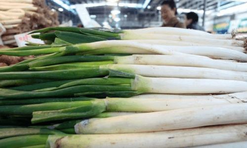 Proven Techniques to Keep Green Onions Fresh for Weeks:A Comprehensive Guide