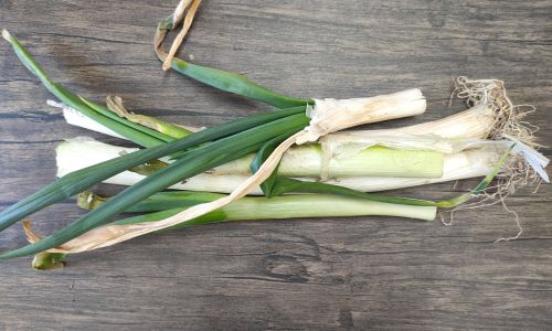 Proven Techniques to Keep Green Onions Fresh for Weeks:A Comprehensive Guide