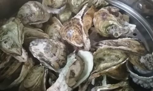How Long to Cook Ark Shell Clams:A Comprehensive Guide to Perfect Doneness