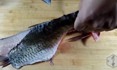 Mastering the Art of Cooking Big Grass Carp:Delicious Recipes and Expert Tips
