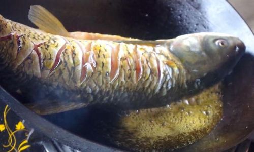 Mastering the Art of Cooking Big Grass Carp:Delicious Recipes and Expert Tips